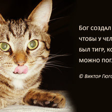 Схема вышивки «И Бог создал кошку...»