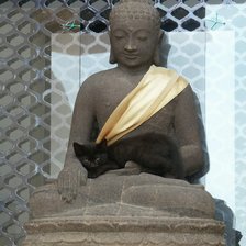 Схема вышивки «Кошачья нирвана»