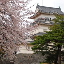 Схема вышивки «Японская весна»