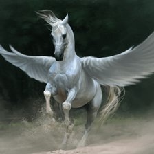 Пегас взлетает