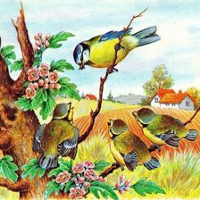 Схема вышивки «птички»