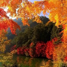 Схема вышивки «осень»