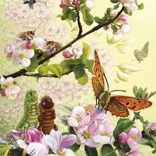 Схема вышивки «весеннее настроение»