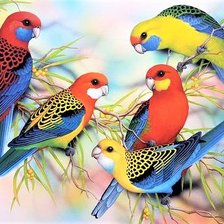 Схема вышивки «Rosellas»