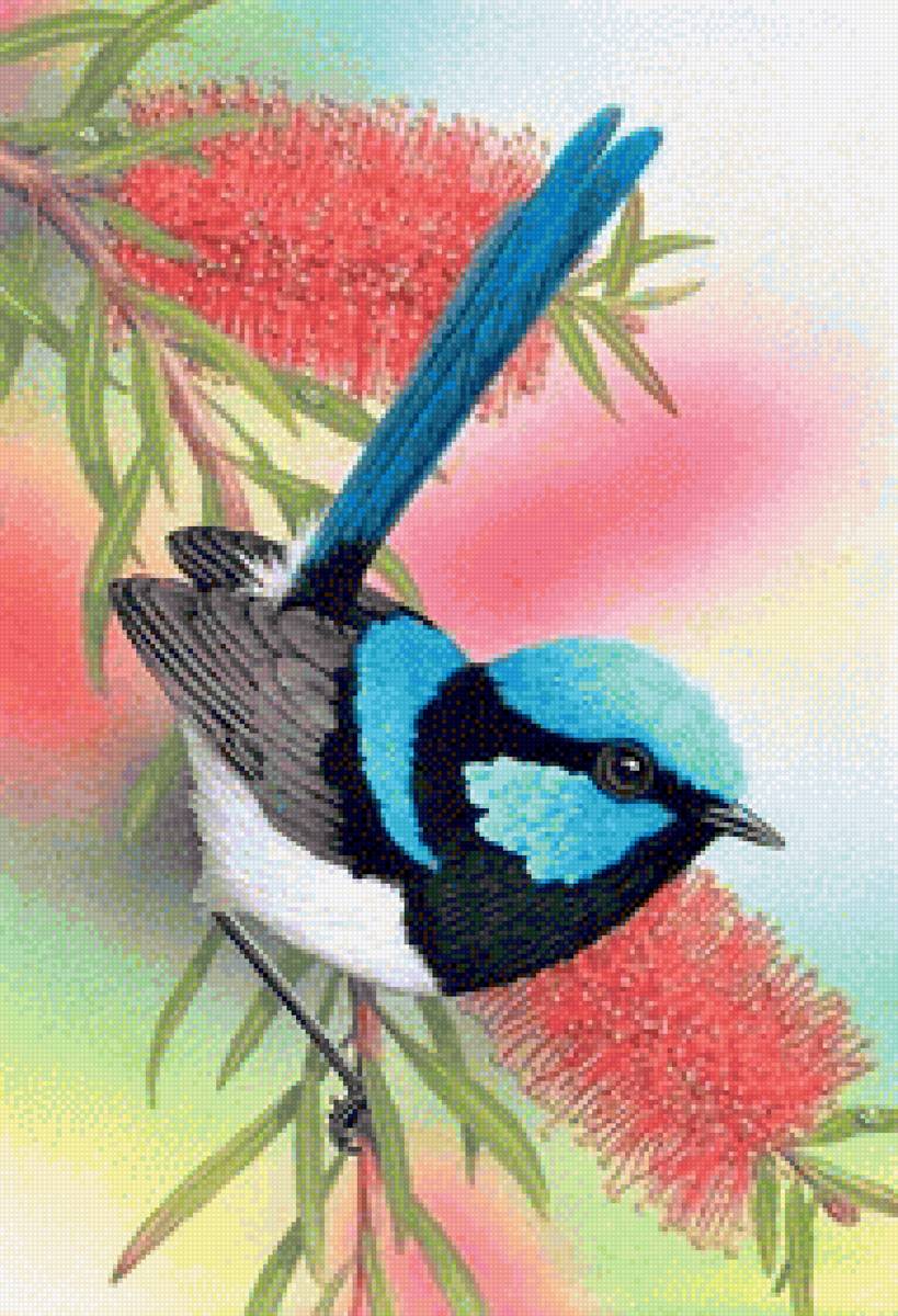 Fitch birde - птицы - предпросмотр