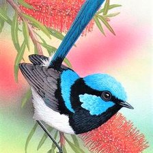 Схема вышивки «Fitch birde»