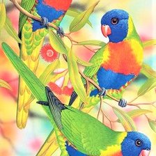 Схема вышивки «Rosellas 2»