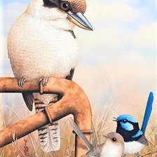 Схема вышивки «Kukubara and family fitches»