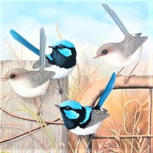 Схема вышивки «Family fitches»