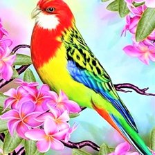 Схема вышивки «Rosella 3»