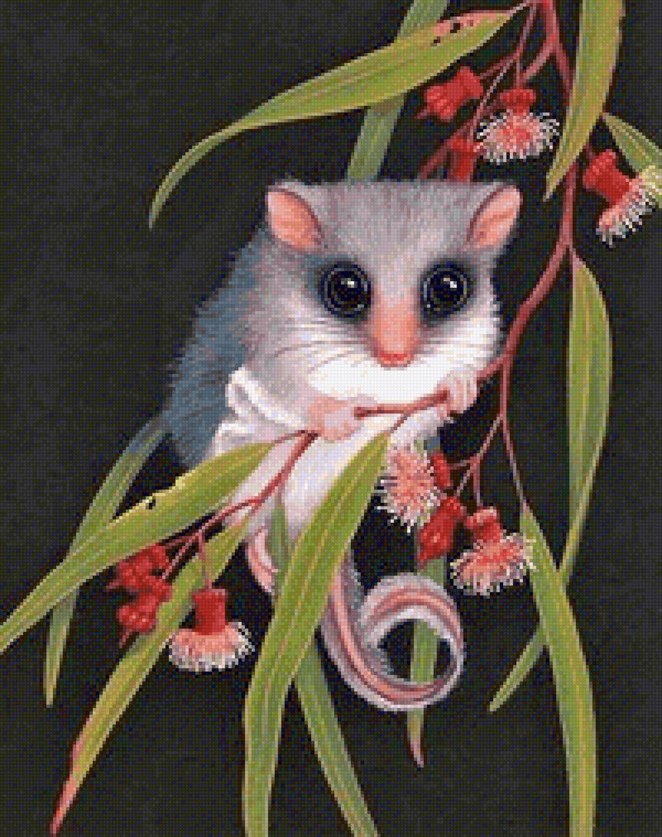 Possums on black canva - животные - предпросмотр