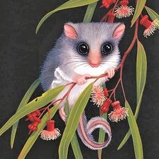 Possums on black canva