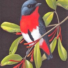 Схема вышивки «On black canva»