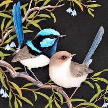 Схема вышивки «Fitches on black canva»