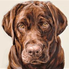 Схема вышивки «Chocolad labrodor»