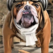 Схема вышивки «English pilot»