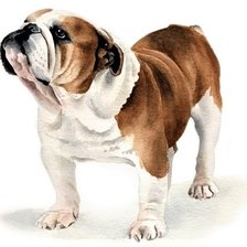 Схема вышивки «My friend Billy Bons»