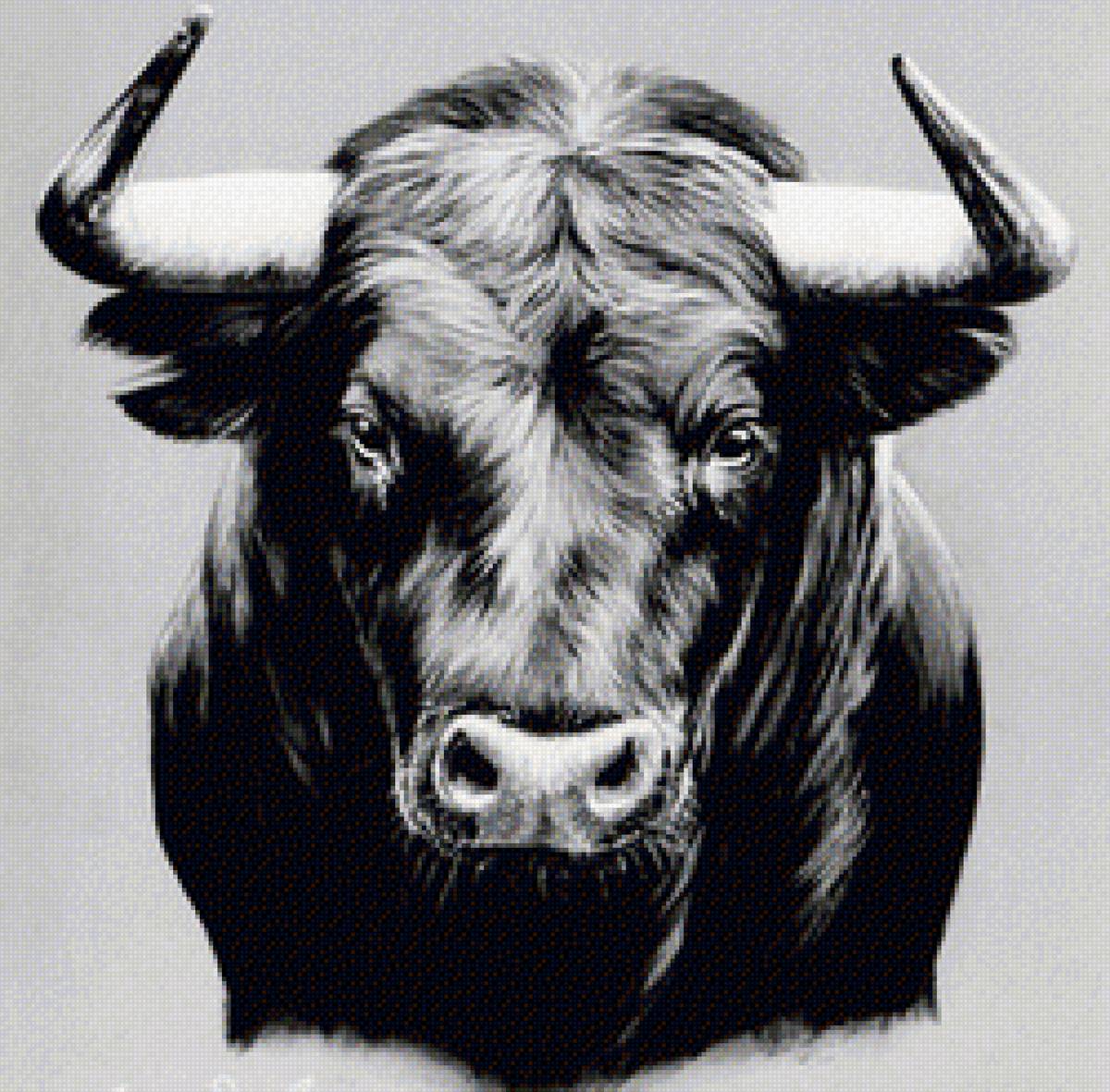 Голова быка 2021 - бык крупным планом - предпросмотр