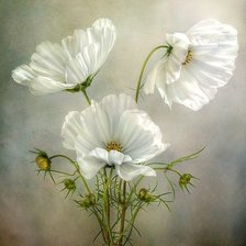 Схема вышивки «цветы»