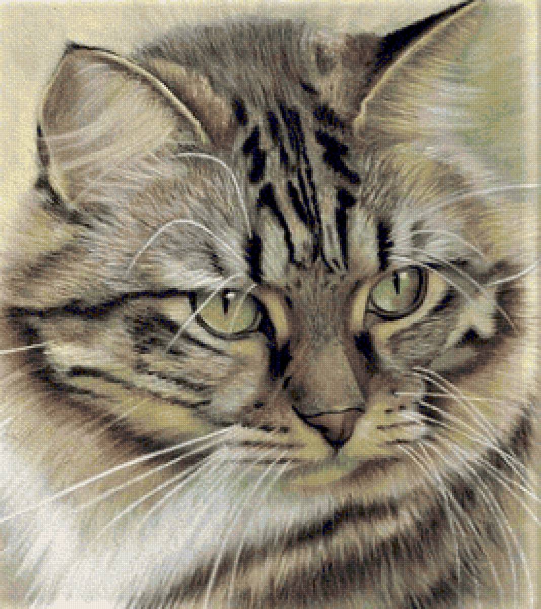 Cat - животные - предпросмотр