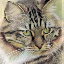 Схема вышивки «Cat»