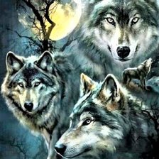 Схема вышивки «Wolfs»