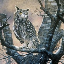 Схема вышивки «Филин»
