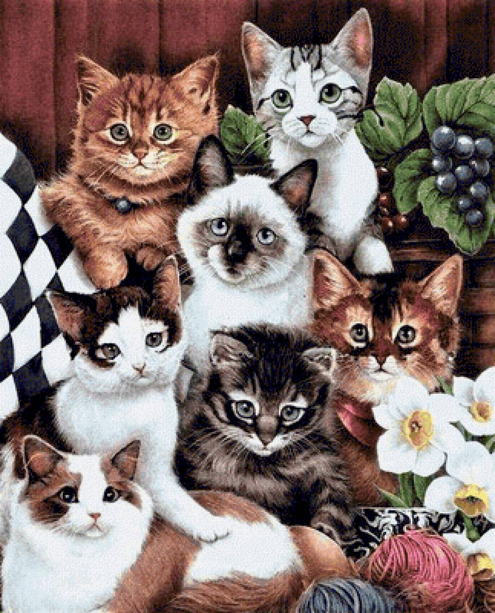 CAts - животные - предпросмотр