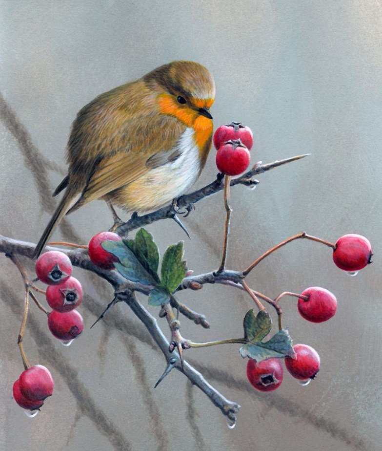 Птичка на ягодах - птичка, ягода - оригинал