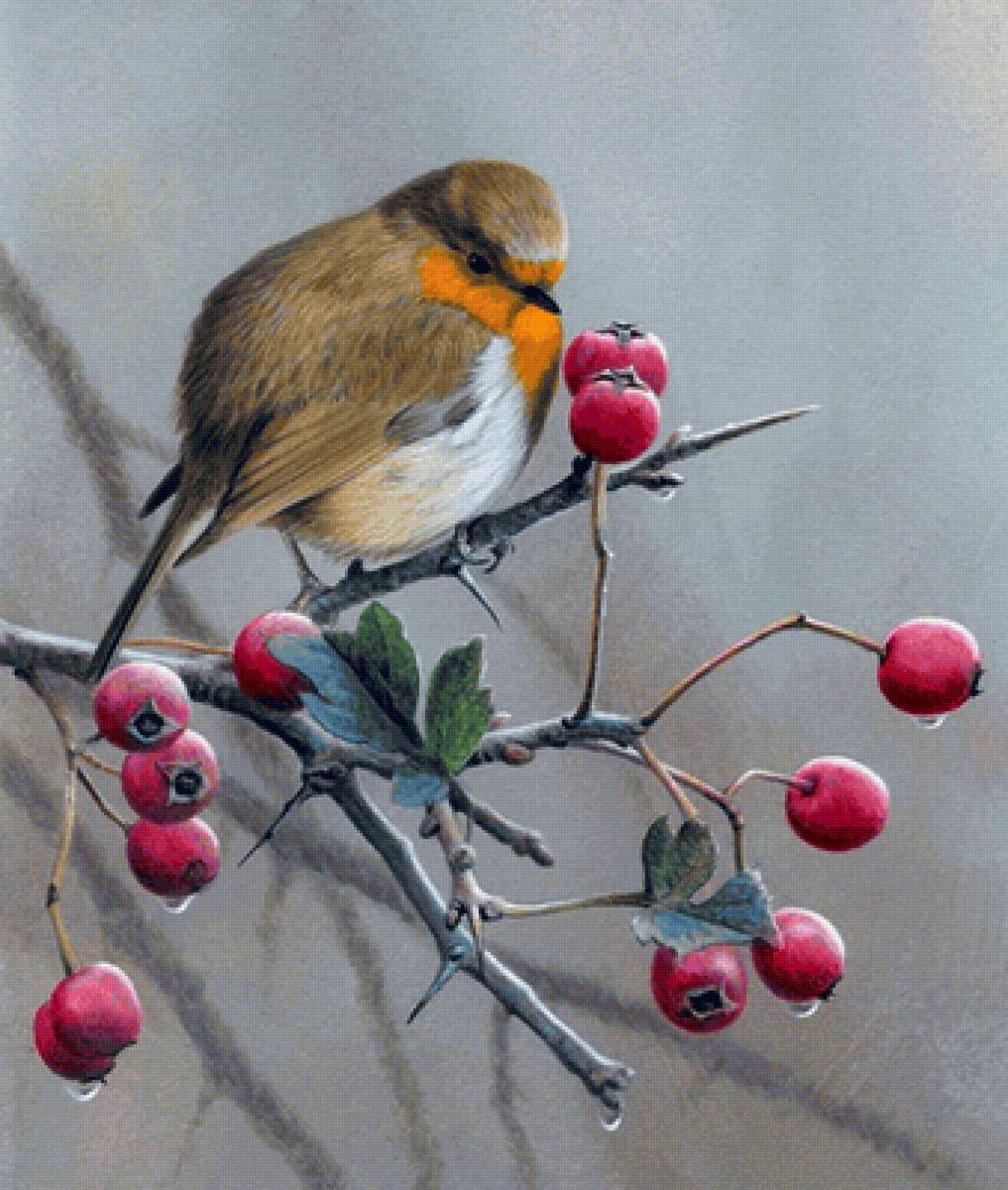 Птичка на ягодах - ягода, птичка - предпросмотр