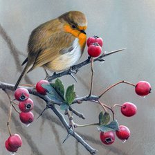 Схема вышивки «Птичка на ягодах»