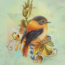 Схема вышивки «Птичка»