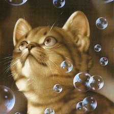 Схема вышивки «кот»