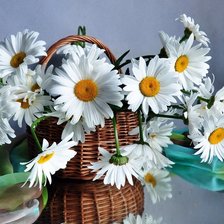 Схема вышивки «Ромашки»