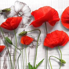 Схема вышивки «маки»