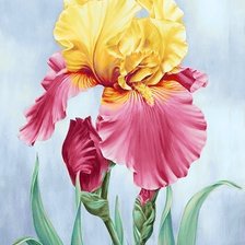 Схема вышивки «Ирисы»