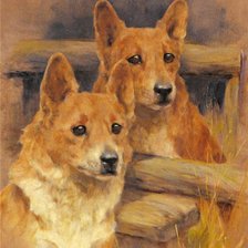 Схема вышивки «Корги»