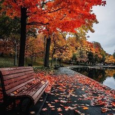 Схема вышивки «Краски осени»