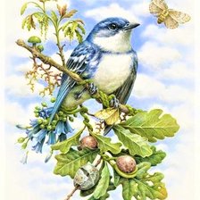 Схема вышивки «Finch birde»