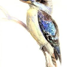 Схема вышивки «Kukubara(pens drawing)»