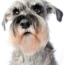 Схема вышивки «vzglyad»