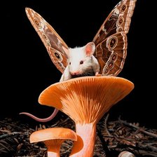 Схема вышивки «мышка»