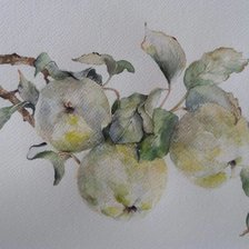 Схема вышивки «Яблочко. Акварель.»