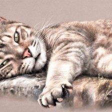 Схема вышивки «Cat's portret 3»