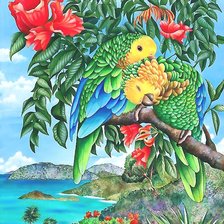 Схема вышивки «ПОПУГАИ»