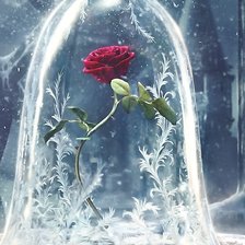 Схема вышивки «ВОЛШЕБНАЯ РОЗА»