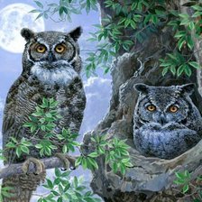 Схема вышивки «ДВЕ СОВЫ»