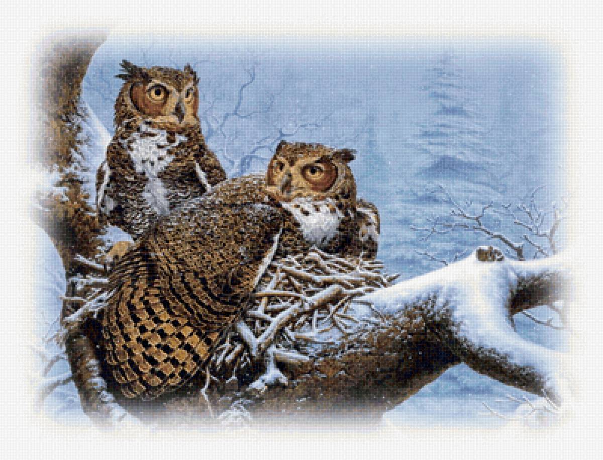 Вместе теплее - предпросмотр