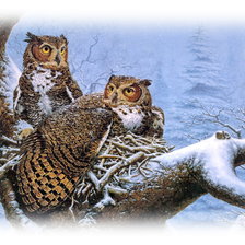 Вместе теплее