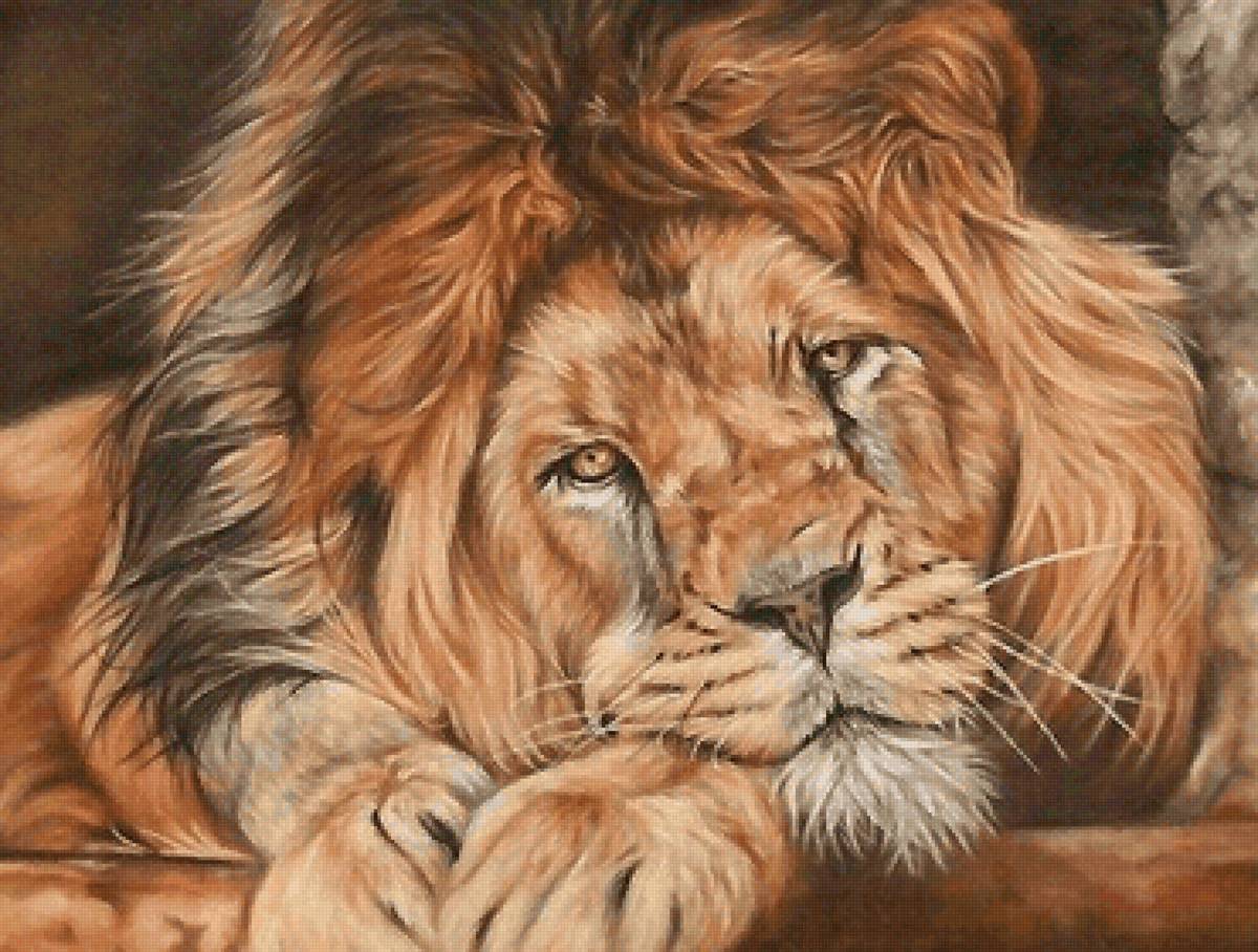 лев - лев, хищник - предпросмотр